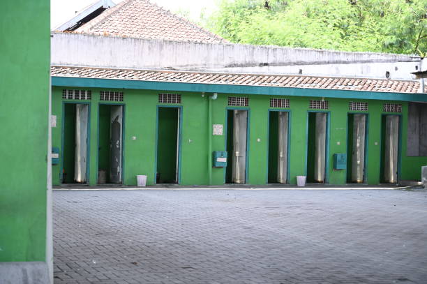 Best Sanitation services for porta potties  in Edmore, MI